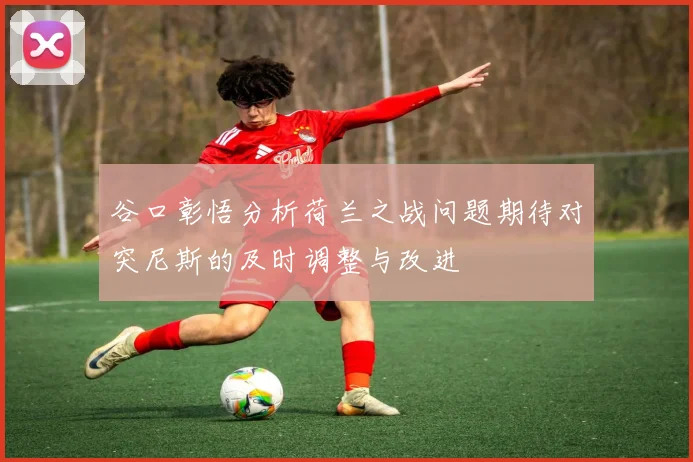 谷口彰悟分析荷兰之战问题期待对突尼斯的及时调整与改进